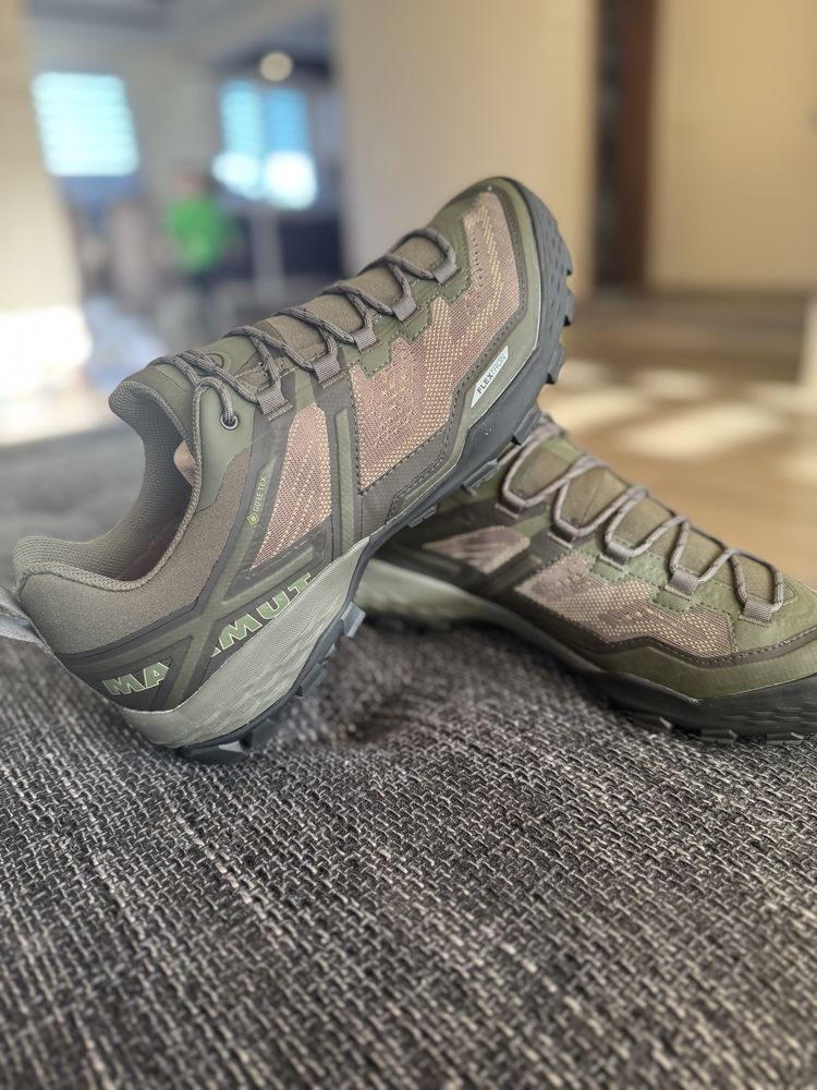Mammut Ducan Low GTX® Men