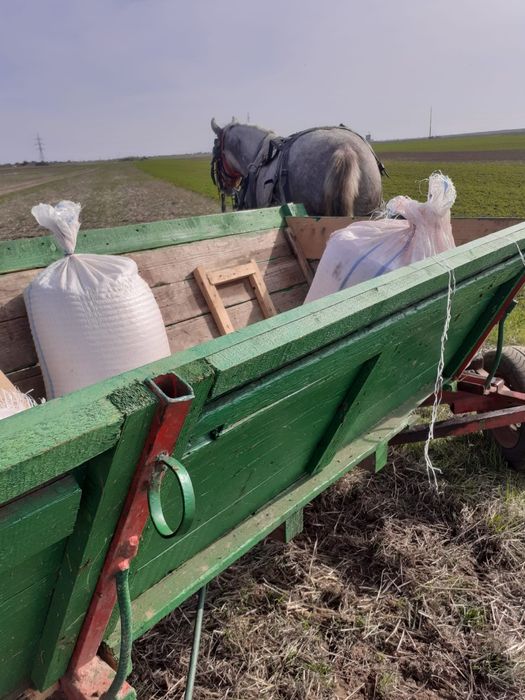 De vanzare  Iapa 4 ani și 6 luni  și mânz 1 an și 5 luni