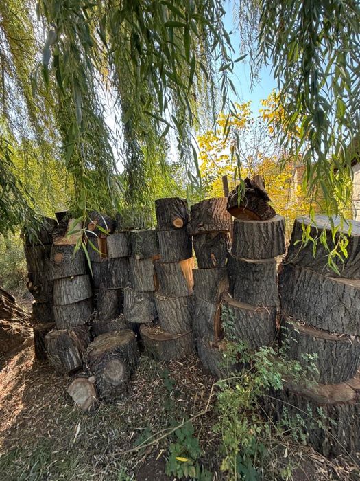 Продам дрова сухие