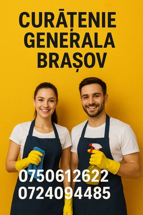 Curatenie la domiciliu