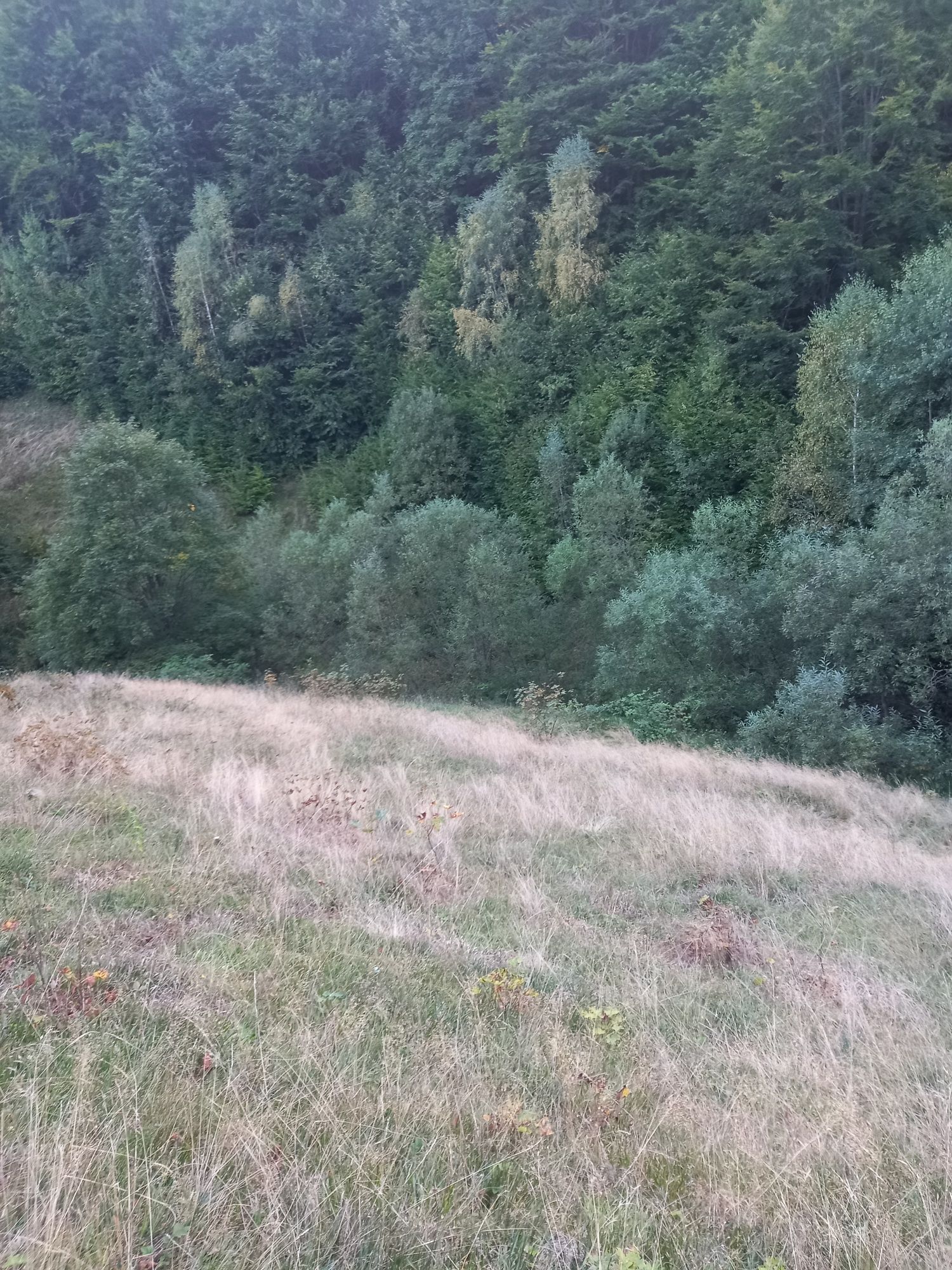 Teren de vânzare