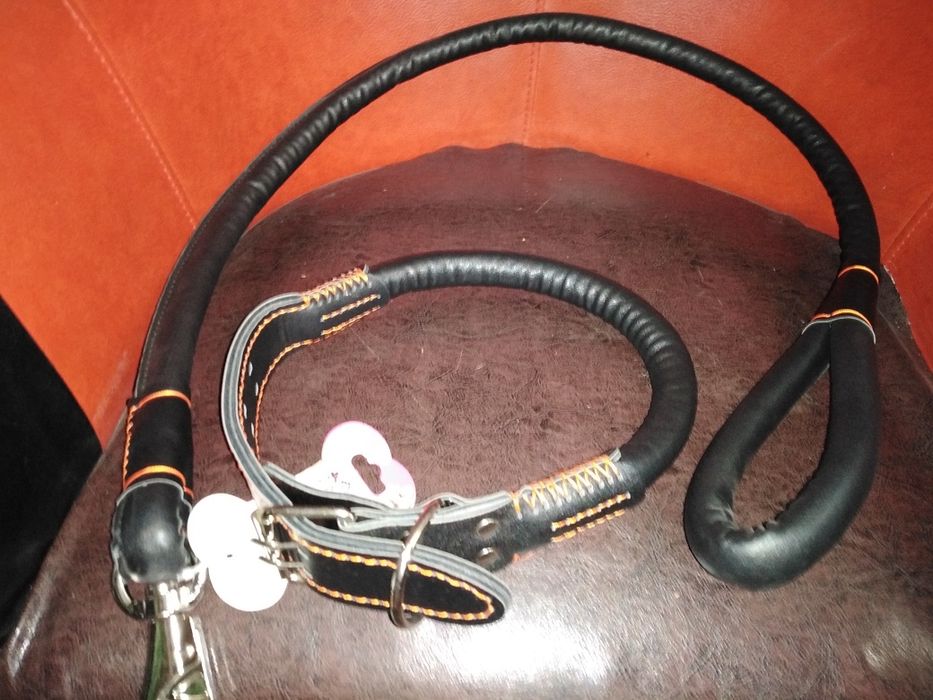 Lesa caini și zgarda set