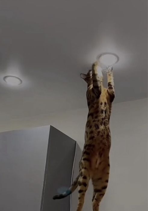 Нятяжные потолки 24/7