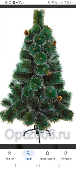 Елка пушистая в отличном состоянии