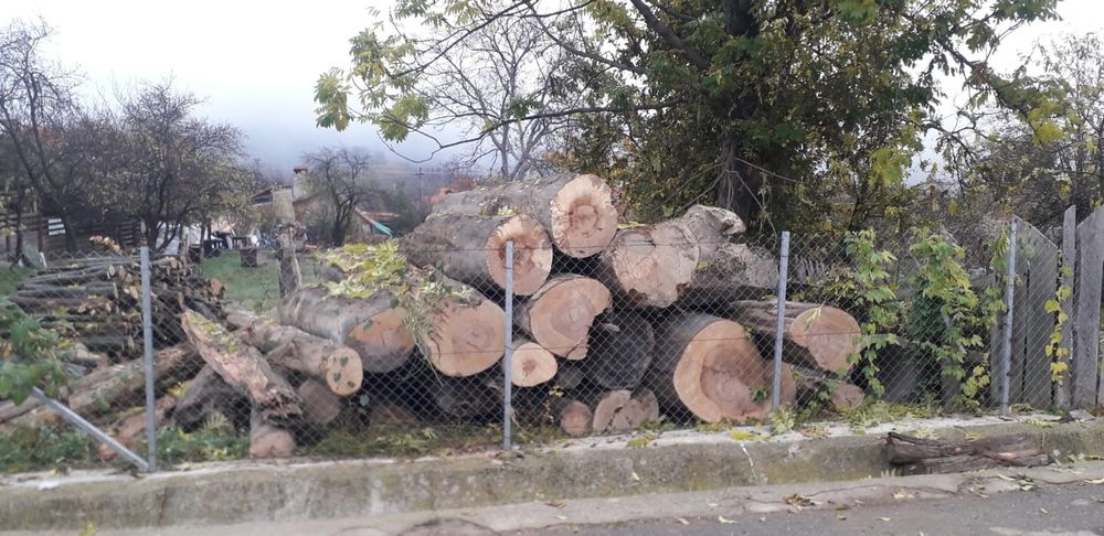 Drujbist tai lemne defrisez  toaletez pomi.