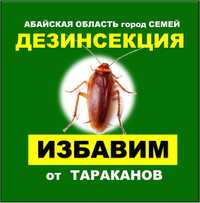 Дезинфекция тараканов  уничтожение  таракана