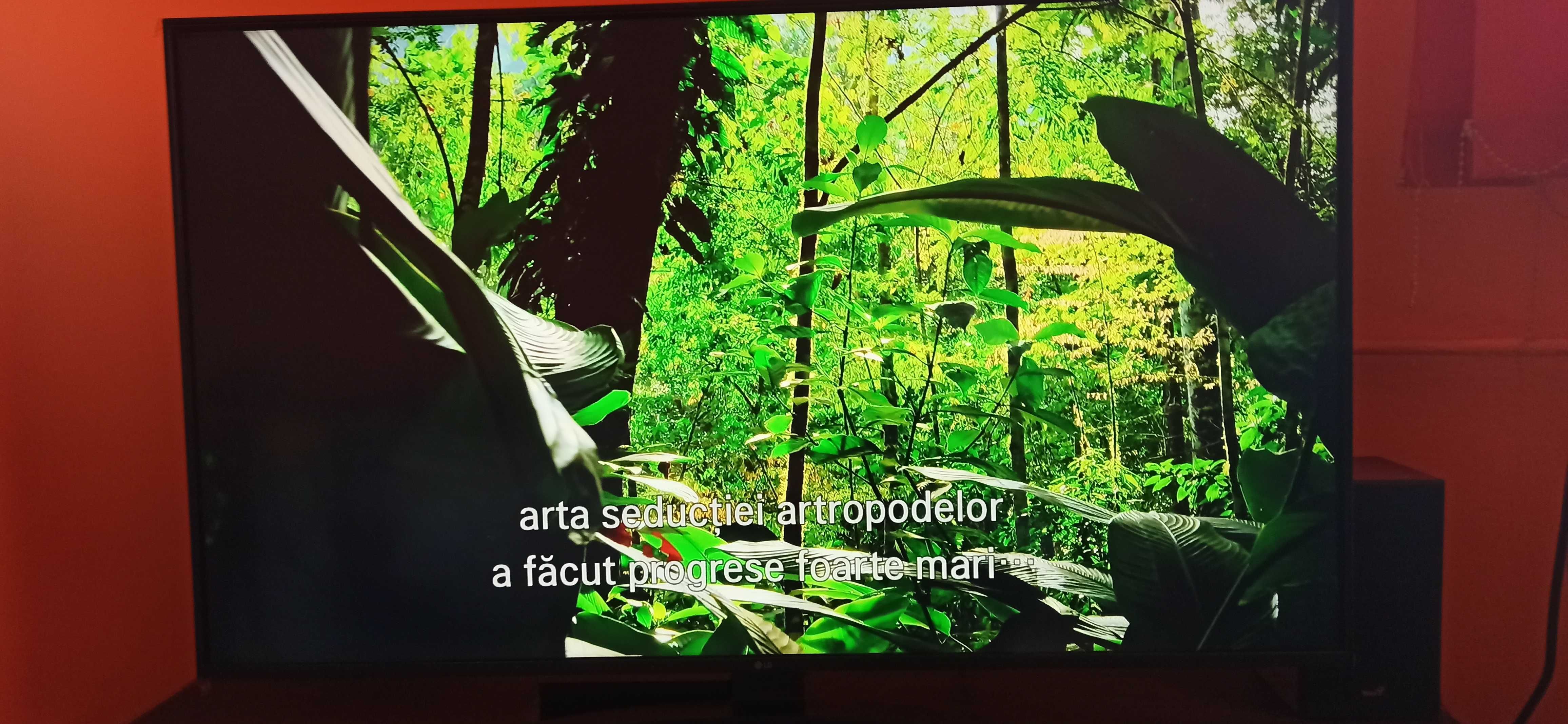 Documentare 4 K David Attenborough cu subtitrarea in limba romana