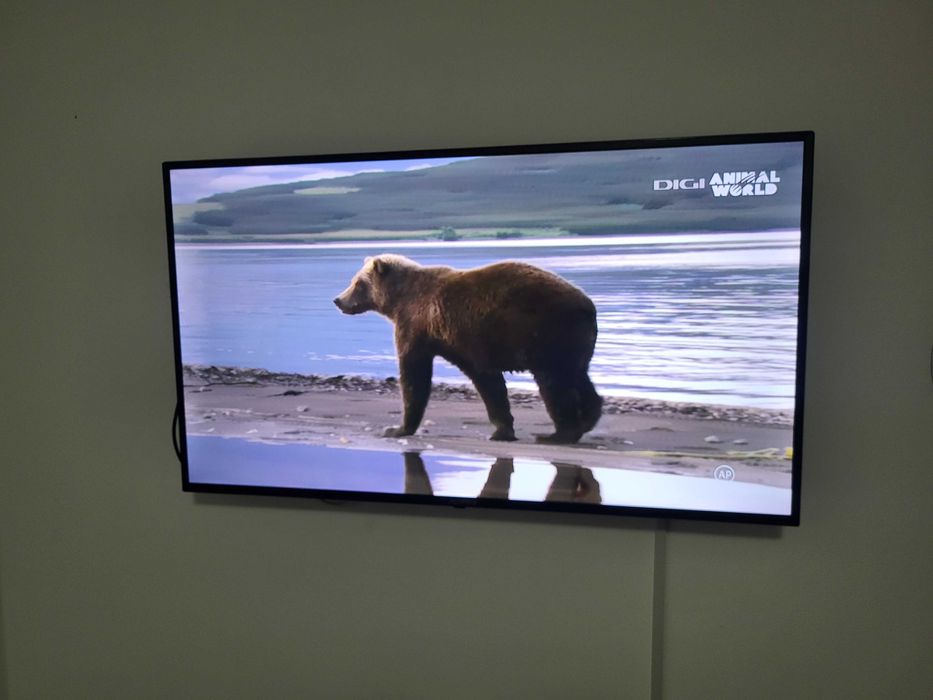 Televizor Allview Smart+cadou Tv Orizont