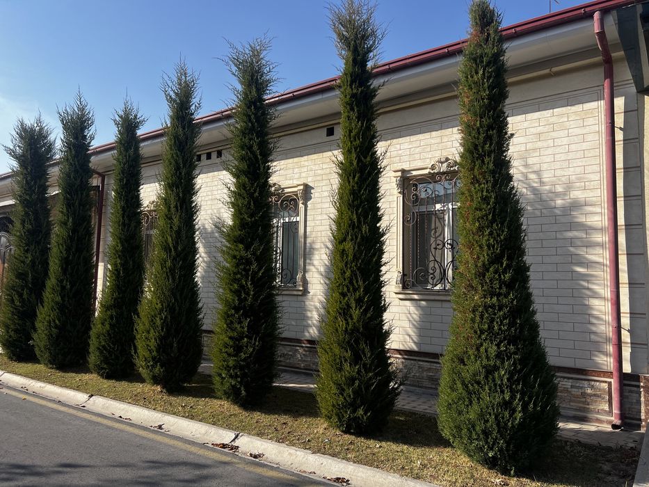 Продается дом махалля Амир Темур.