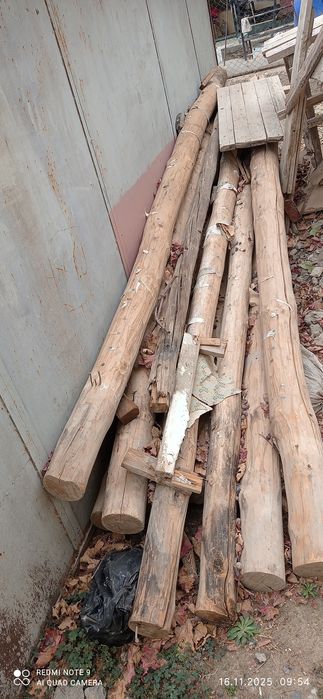 Bolor sotiladi 25 dona