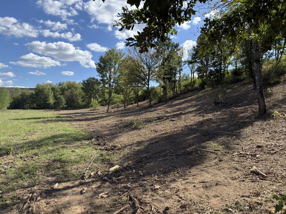 Curatare defrisare tocatoare forestiera pasuni terenuri impadurite