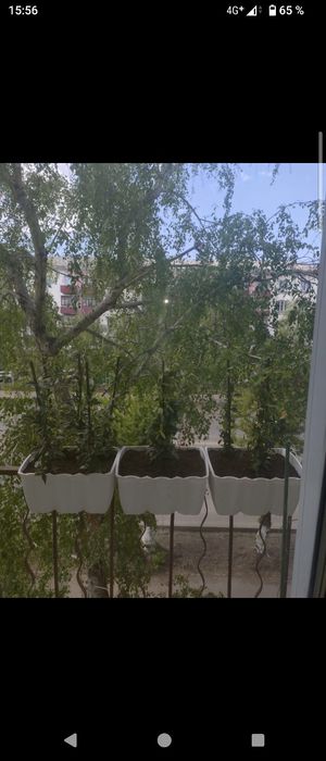 Продаю горшок кашпо-ящики для цветов