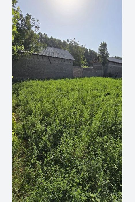 Yer uchastka sotiladi