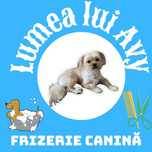 Frizerie canină-Lumea lui Avy