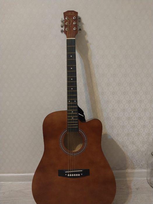 Гитара новая (+кападастор, чехол, ремень, струна запасная)