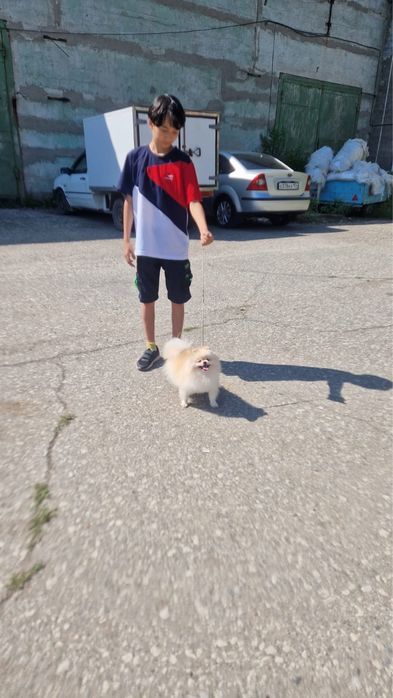 Девочка с полным пакетом документов в разведение