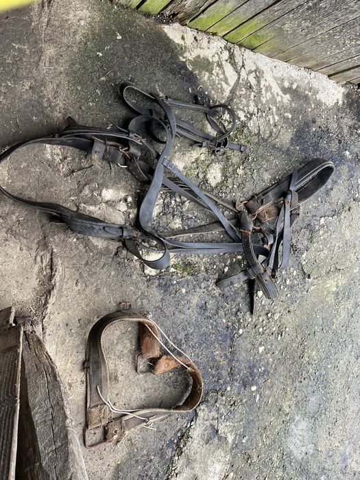 Vand ham cu toate accesoriile