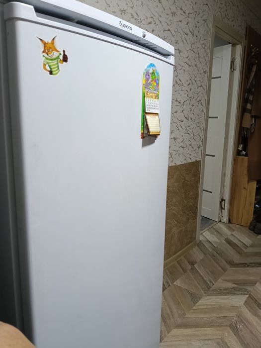 Холодильник Бирюса