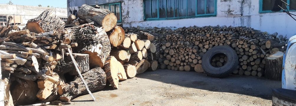 Дрова чурками тополь карагач