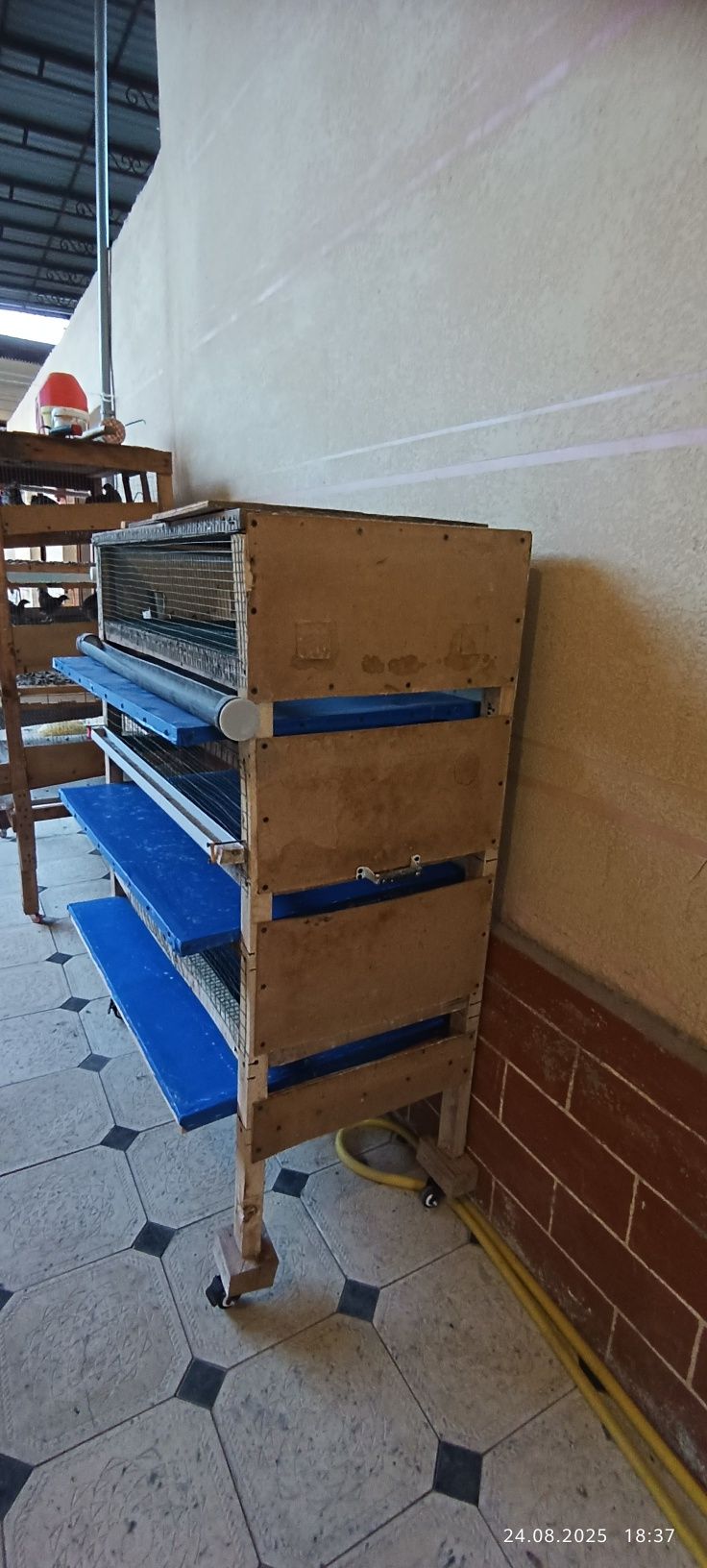 Bedana va jojalarga kataglar sotiladi
