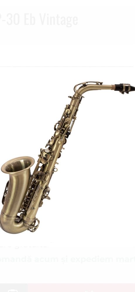 Saxofon NOU —> Dimavery SP-30 Eb Vintage