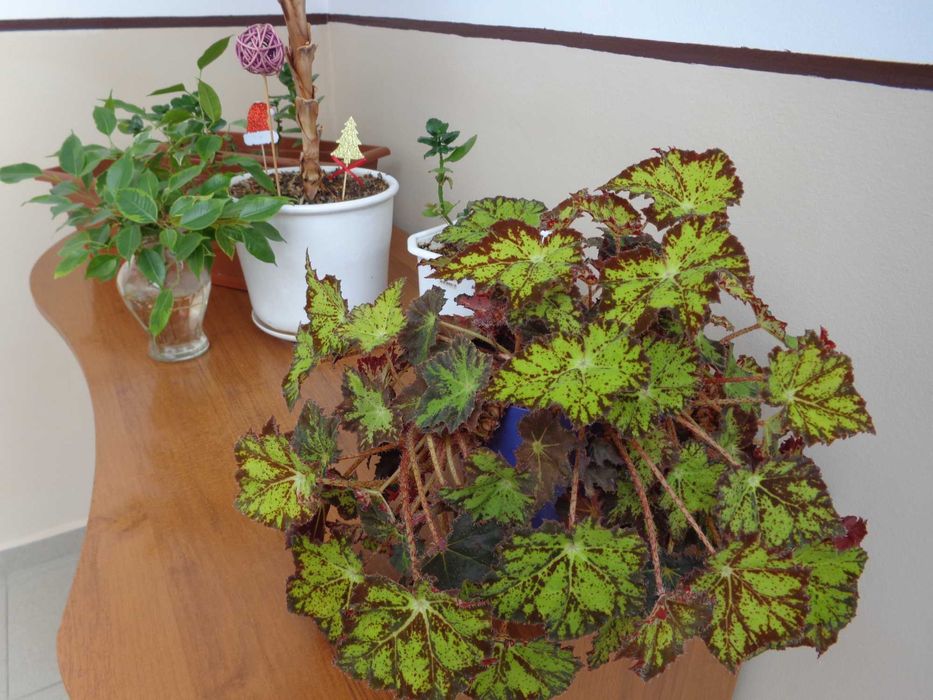 Sony Cyber-shot DSC-W730 16.1 МРх