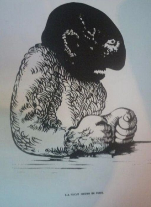 Proverbe și zicători, Perahim, Completa, 20 linogravuri,RAR