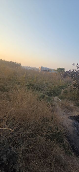 10 sotix  tomorqa  sotiladi