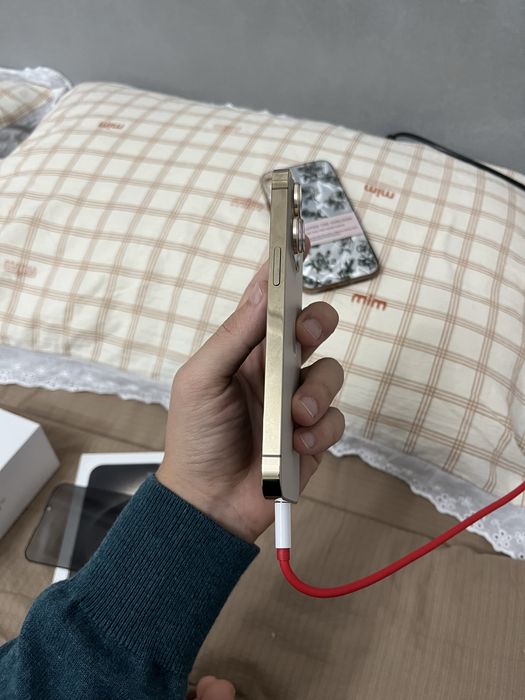 Iphone 13 pro ideal