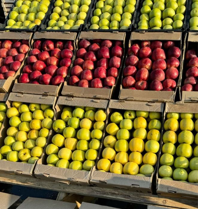 Яблоки с собственного сада