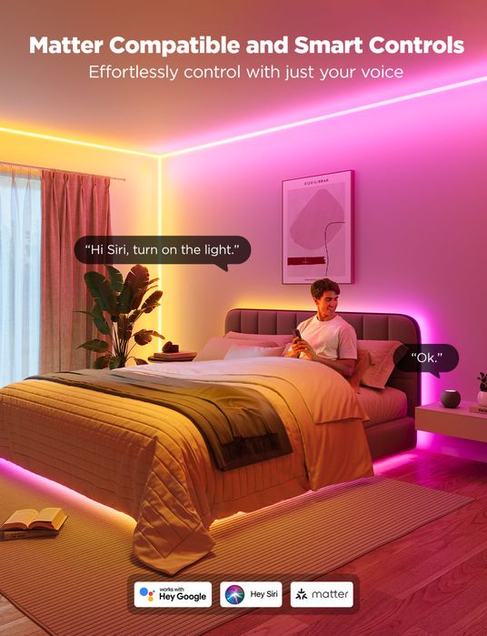 Govee Neon Rope Lights for Wall Lining