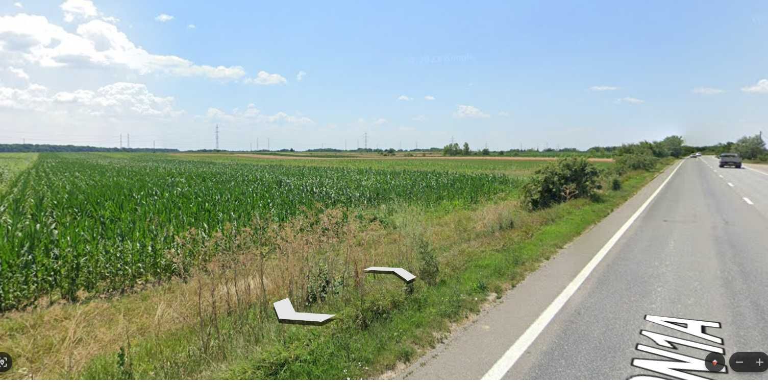 Licitatie teren agricol Cocorastii Colt