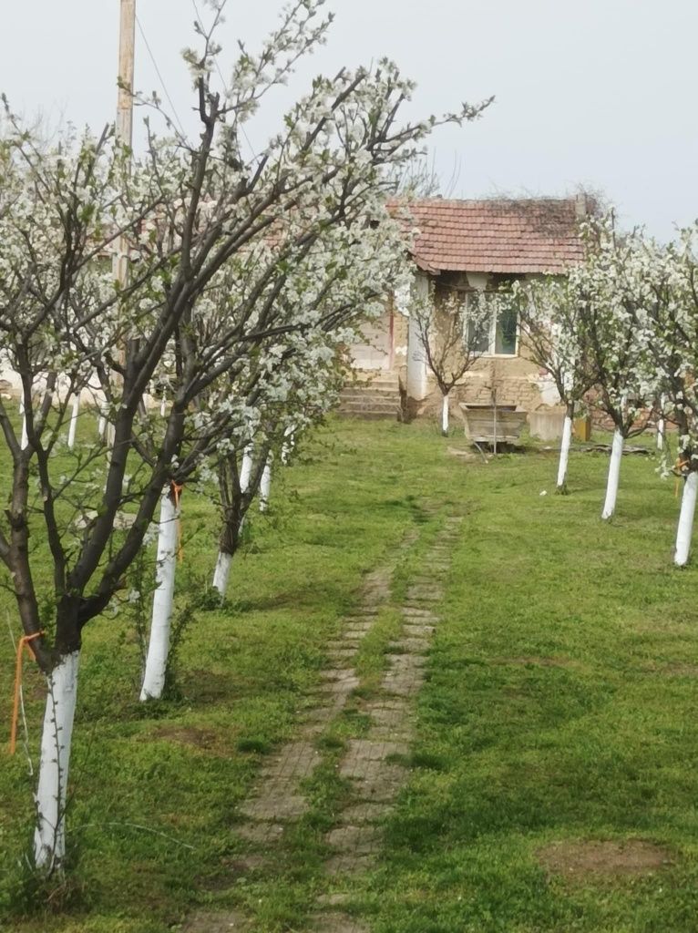 Къща с овощна градина с.Асеновци