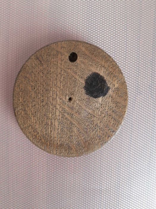 Reproducere REMBRANDT