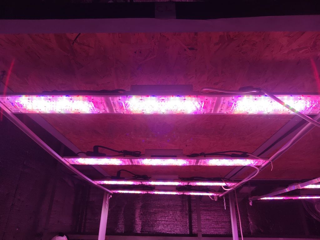 Lumini led pentru iluminat horticol, grow lights