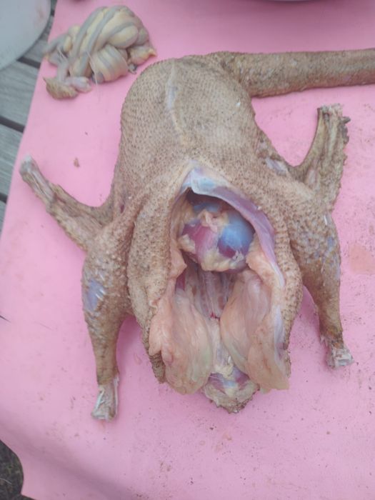 Продам продам гуси