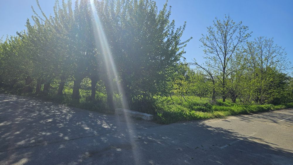 Vand teren intravilan Comuna Chirnogi