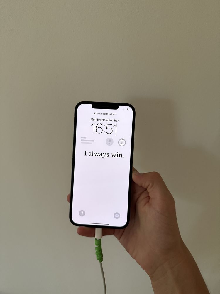 iPhone 12 pro max 256gb