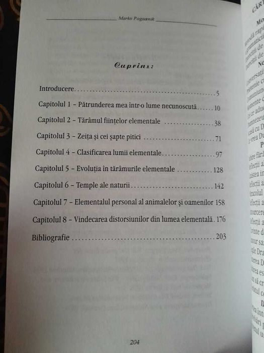 RARA - Spiritele naturii si fiintele elementale 2009 Marko Pogacnik