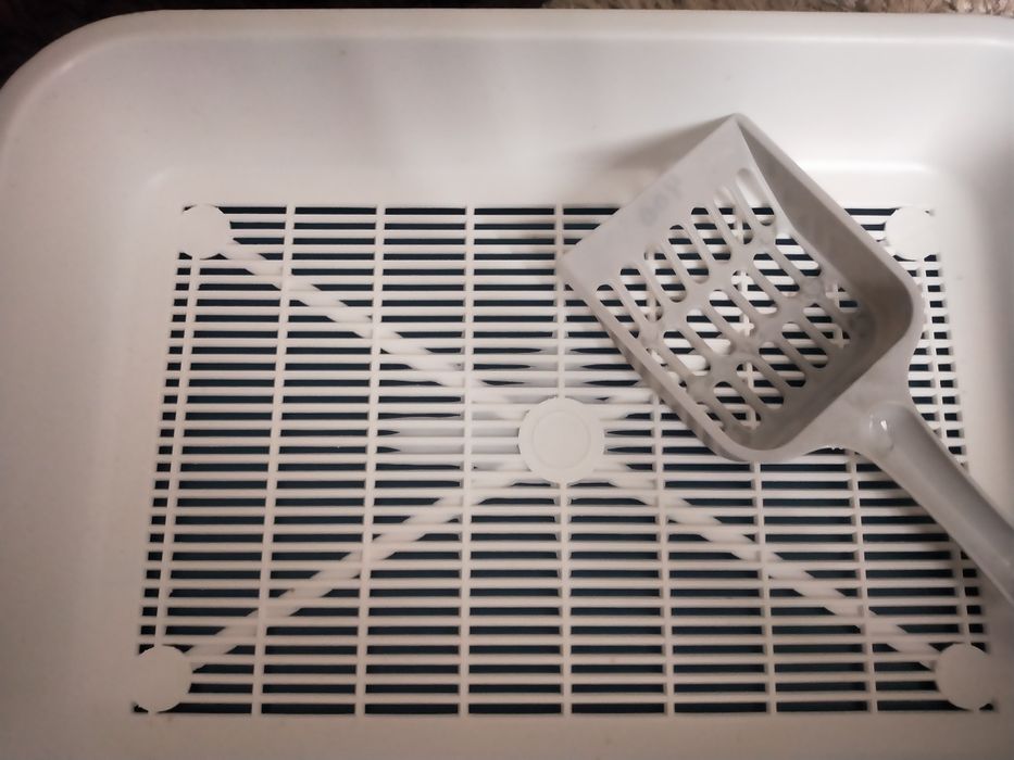 лоток и совок  для котят