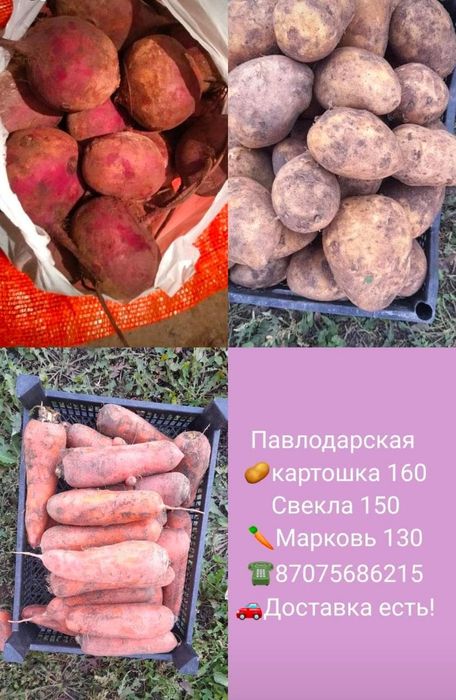 Картошка, морковь, свекла