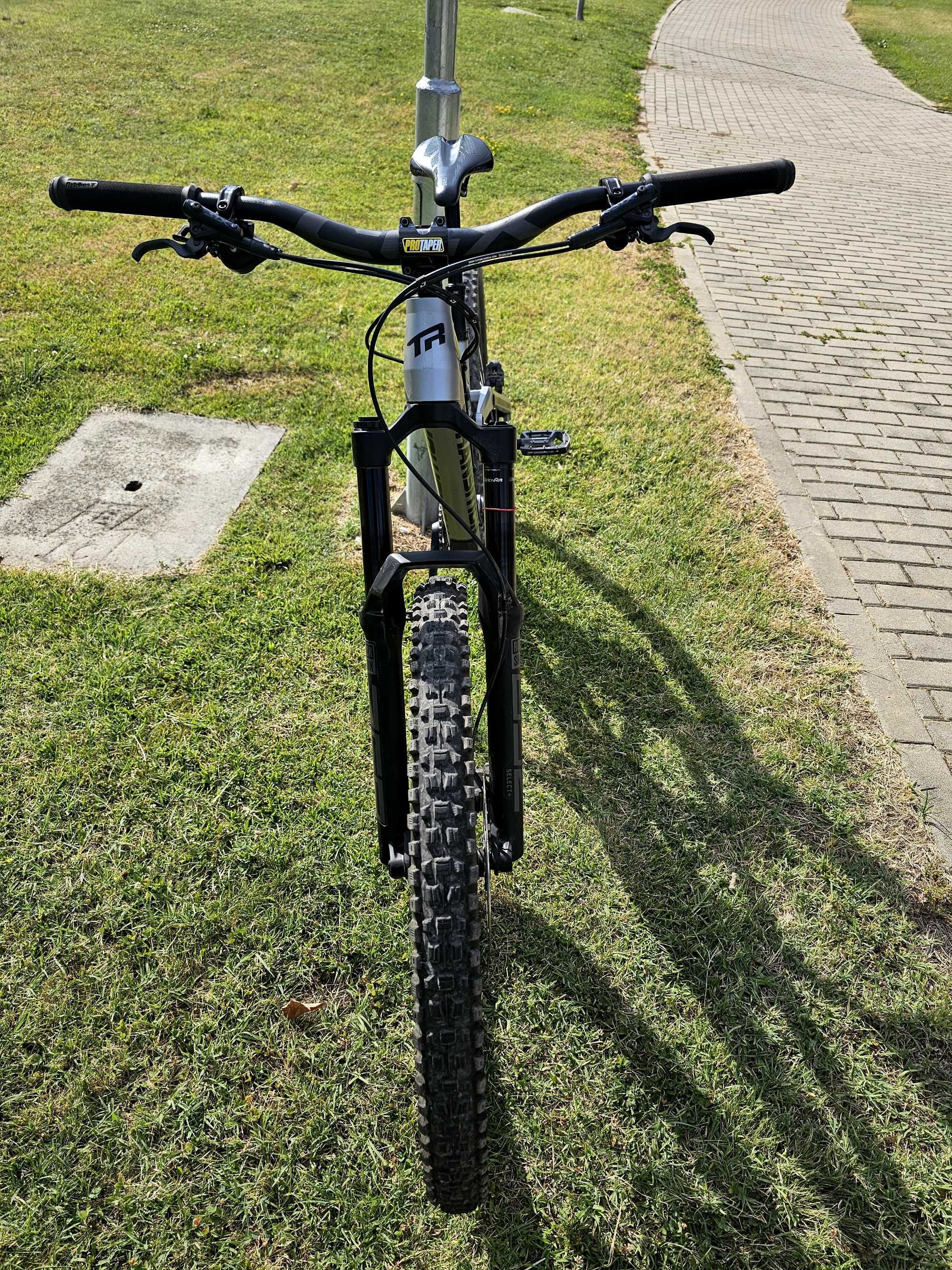 Transition Sentinel 29"