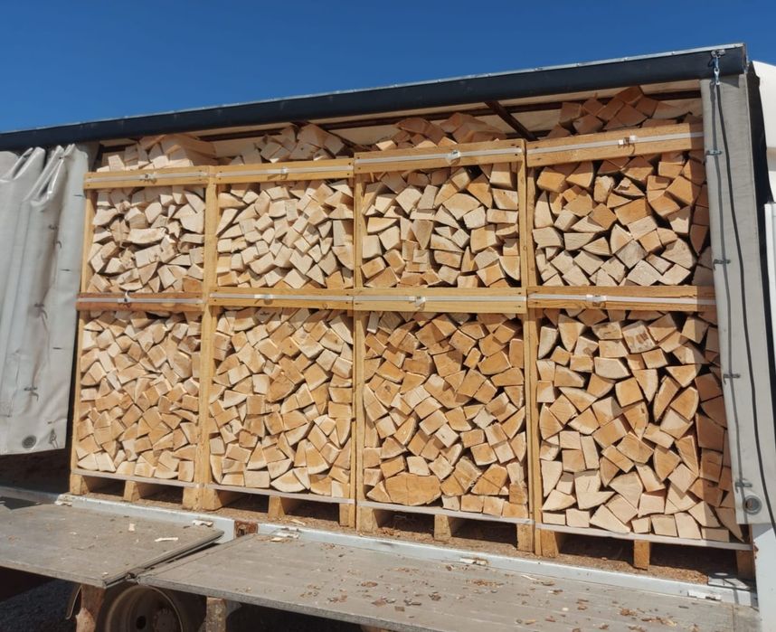 Lemne de foc fag paletizate