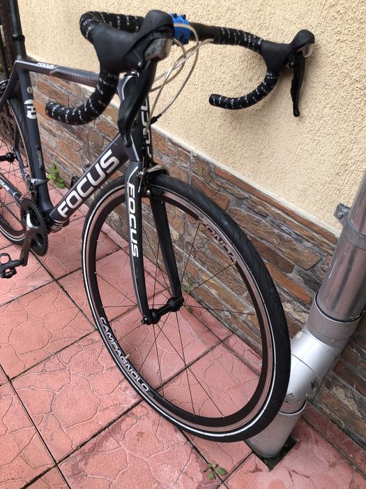 Semicursiera carbon Focus