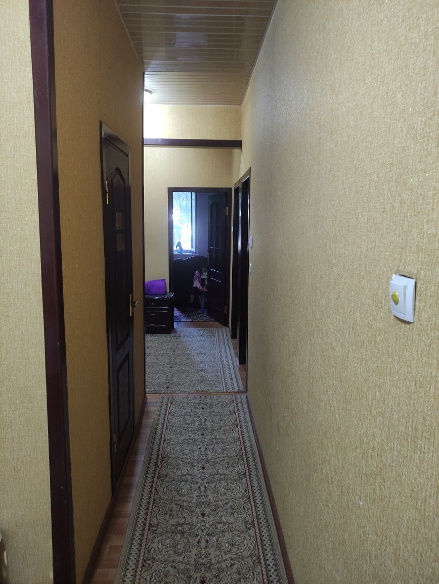 Кора камиш 2/1. 2/3/4. Kora komish 2/1. 3 hona. Дом Кара камиш 3 ком.