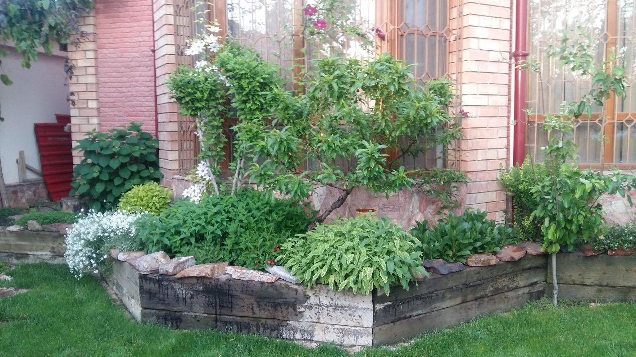 Евро дача за городом