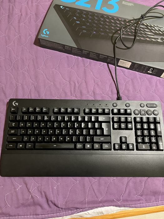 Logitech Prodigy G213, RGB