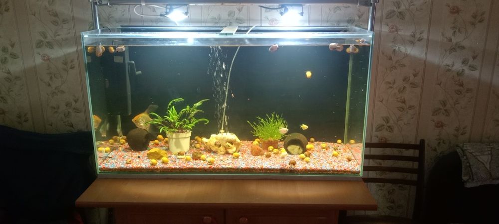 Продам аквариум 200 литров