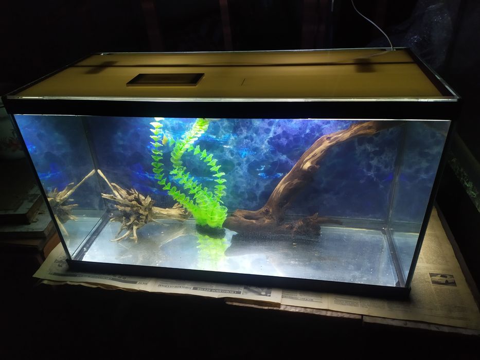 Аквариум 120л + бонусы и рыбки.