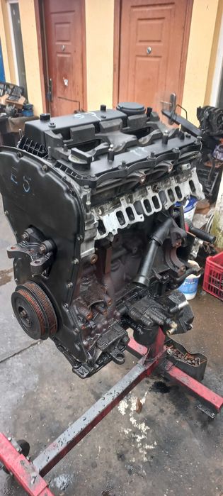 motor Citroen, Ford, Peugeot